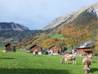 Appartamento per vacanze Schoppernau Ambiente 32