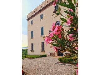 Appartamento per vacanze Lazise Registrazione all'aperto 4