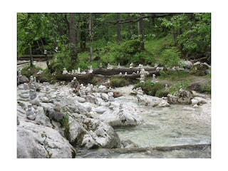 Zauberwald Ramsau