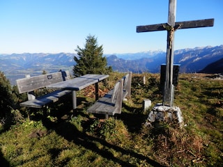 Ahornbüchsenkopf