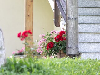 Appartamento per vacanze Gsies Registrazione all'aperto 10