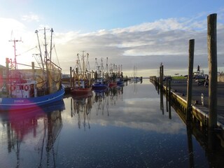 Kutterhafen Dorum-Neufeld