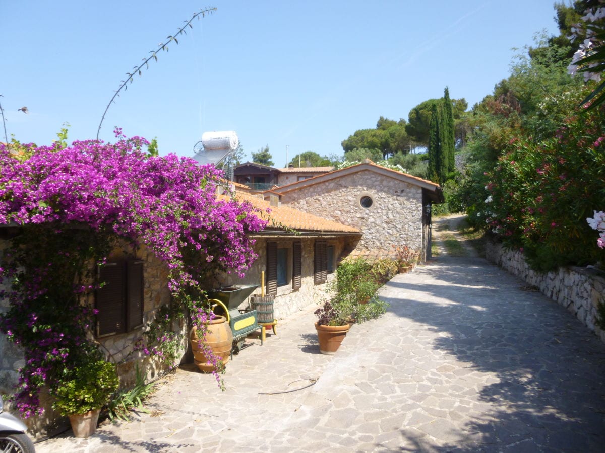 Villa Capoliveri Registrazione all'aperto 1