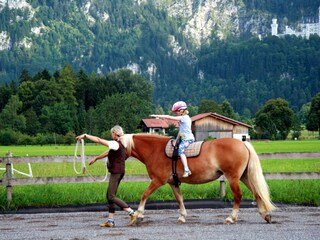 Reitunterricht
