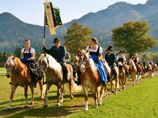 Appartamento per vacanze Schwangau Ambiente 23