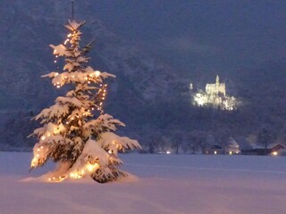 Appartamento per vacanze Schwangau Ambiente 16
