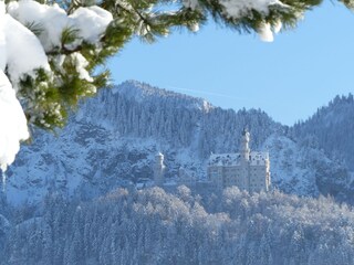 Apartamento de vacaciones Schwangau Grabación al aire libre 7