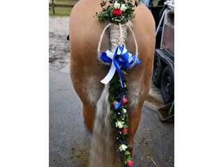 Appartement de vacances Schwangau Enregistrement extérieur 8