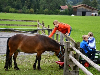Kinder mit unserem Pony Balu