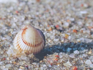 Seegrüße ... aus Ihrem Palais am Meer!