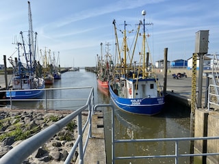 Dorum Hafen