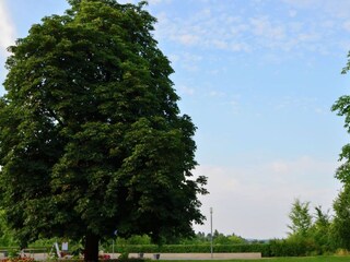 Vakantieappartement Bad Wildungen  24