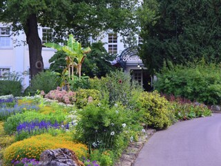 Appartamento per vacanze Bad Wildungen Ambiente 25