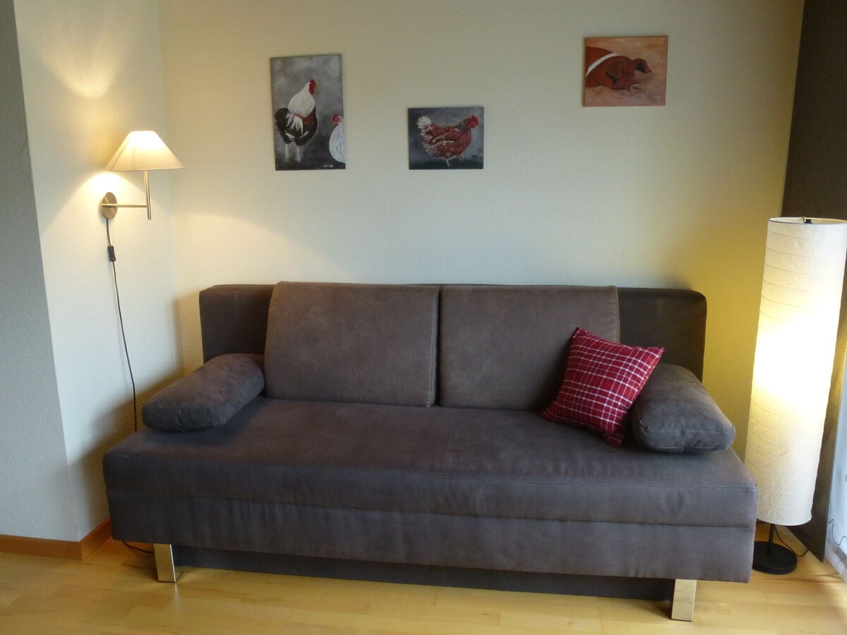 Schlafcouch im Wohnzimmer