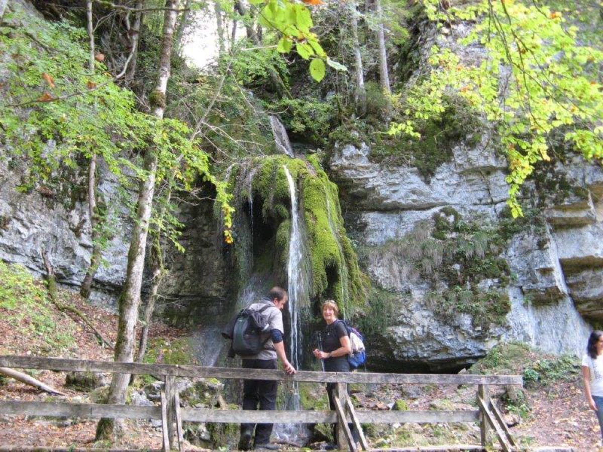 In der Wutachschlucht