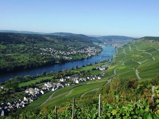 Vakantieappartement Graach an der Mosel Omgeving 23