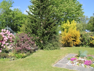 Blick in den wunderschönen Garten