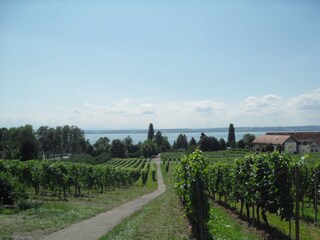 Vakantieappartement Hagnau am Bodensee Omgeving 18