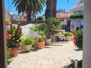 Ferienhaus Vinaros Außenaufnahme 9