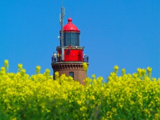 Ferienwohnung Kühlungsborn-Ost Umgebung 14