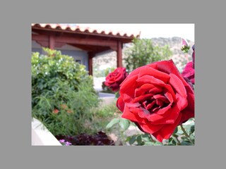 Appartamento per vacanze Mochlos Registrazione all'aperto 6