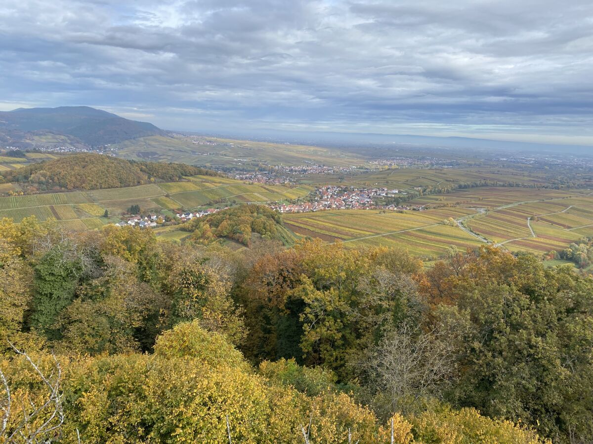 Fabelhafte Aussichten