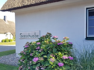 Haus Seeschwalbe