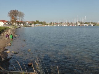 Rerik mit kleinem Segelhafen