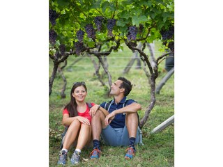 Appartamento per vacanze Marling Ambiente 29