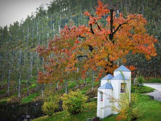 Appartamento per vacanze Marling Ambiente 18