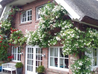 Casa de vacaciones Binz Grabación al aire libre 5