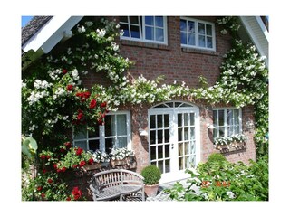 Casa de vacaciones Binz Grabación al aire libre 10