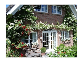 Vakantiehuis Binz Buitenaudio-opname 10