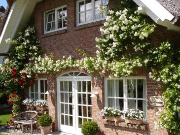 Ferienhaus "Wildröschen" unter Reet