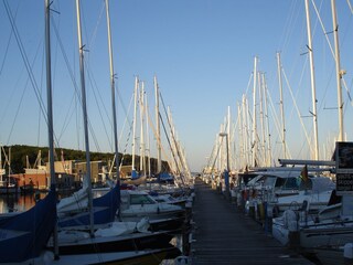 Casa de vacaciones Binz Entorno 32