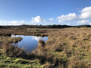 Chalet De Koog Omgeving 24