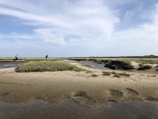 Chalet De Koog Omgeving 25