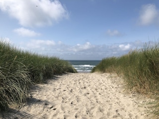 Strand De Koog - Texel