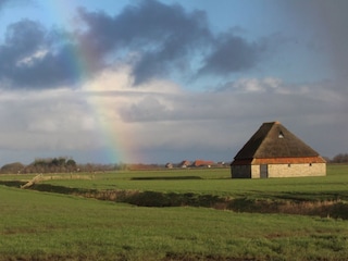 Landscape Texel