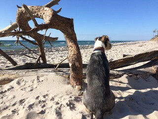 Weststrand Prerow