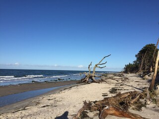 Weststrand Prerow