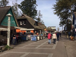 Appartamento per vacanze Prerow Ambiente 18