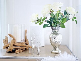 Holiday apartment Tegernsee (Stadt) Features 19