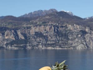 Apartment "Casa Appartamenti Alin" - Malcesine - image1