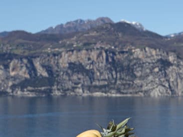 Apartment "Casa Appartamenti Alin"