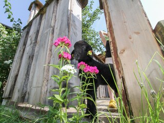 Casa per le vacanze Unken Registrazione all'aperto 11