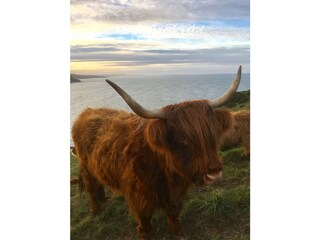 Walks from Crovie