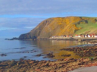 Crovie