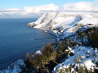 Crovie im Winter