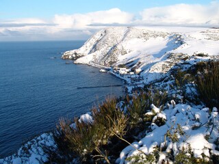 Crovie in wintewr